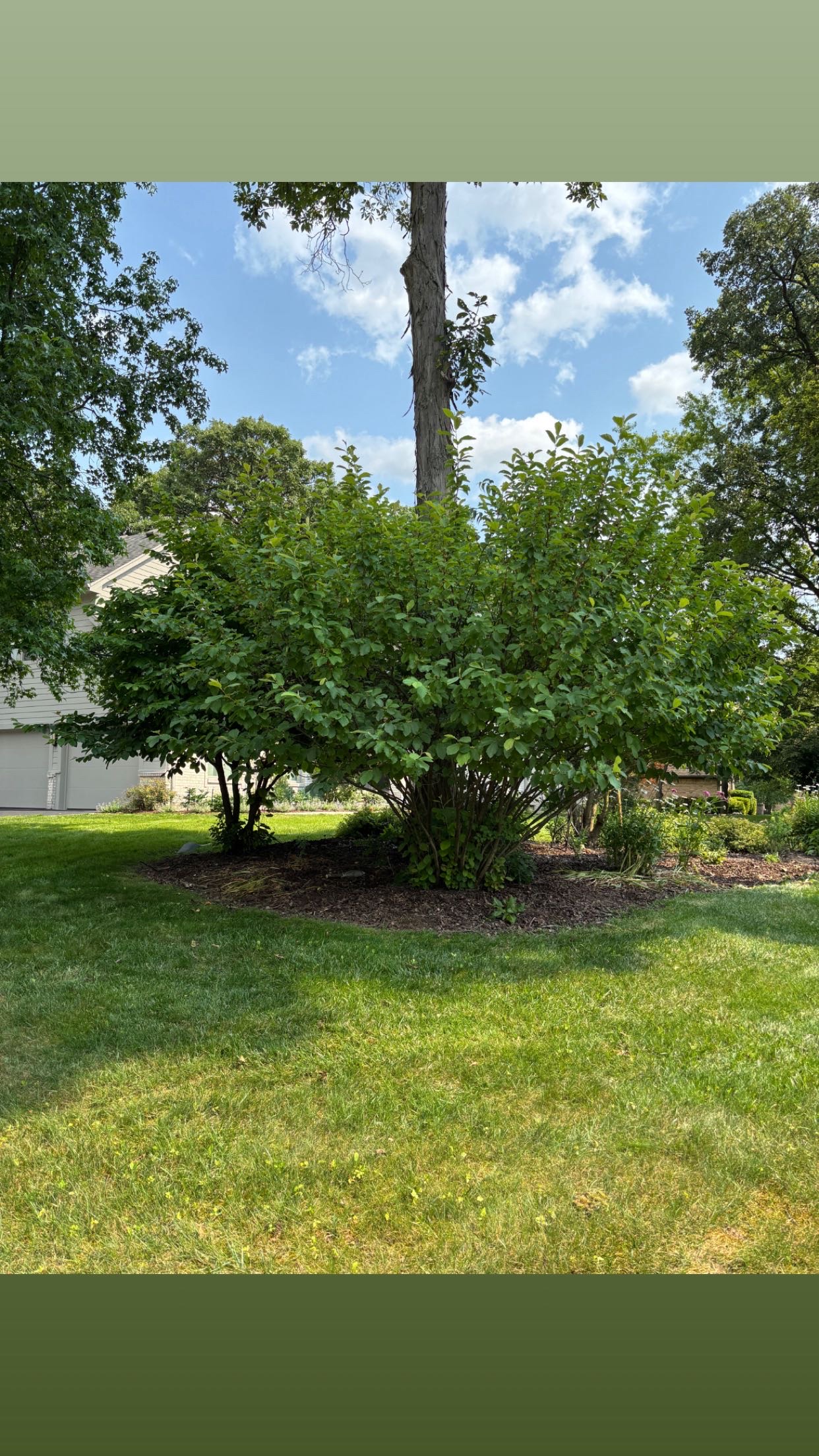 Twin Edge Landscaping project in Northwest Ohio — photo 1