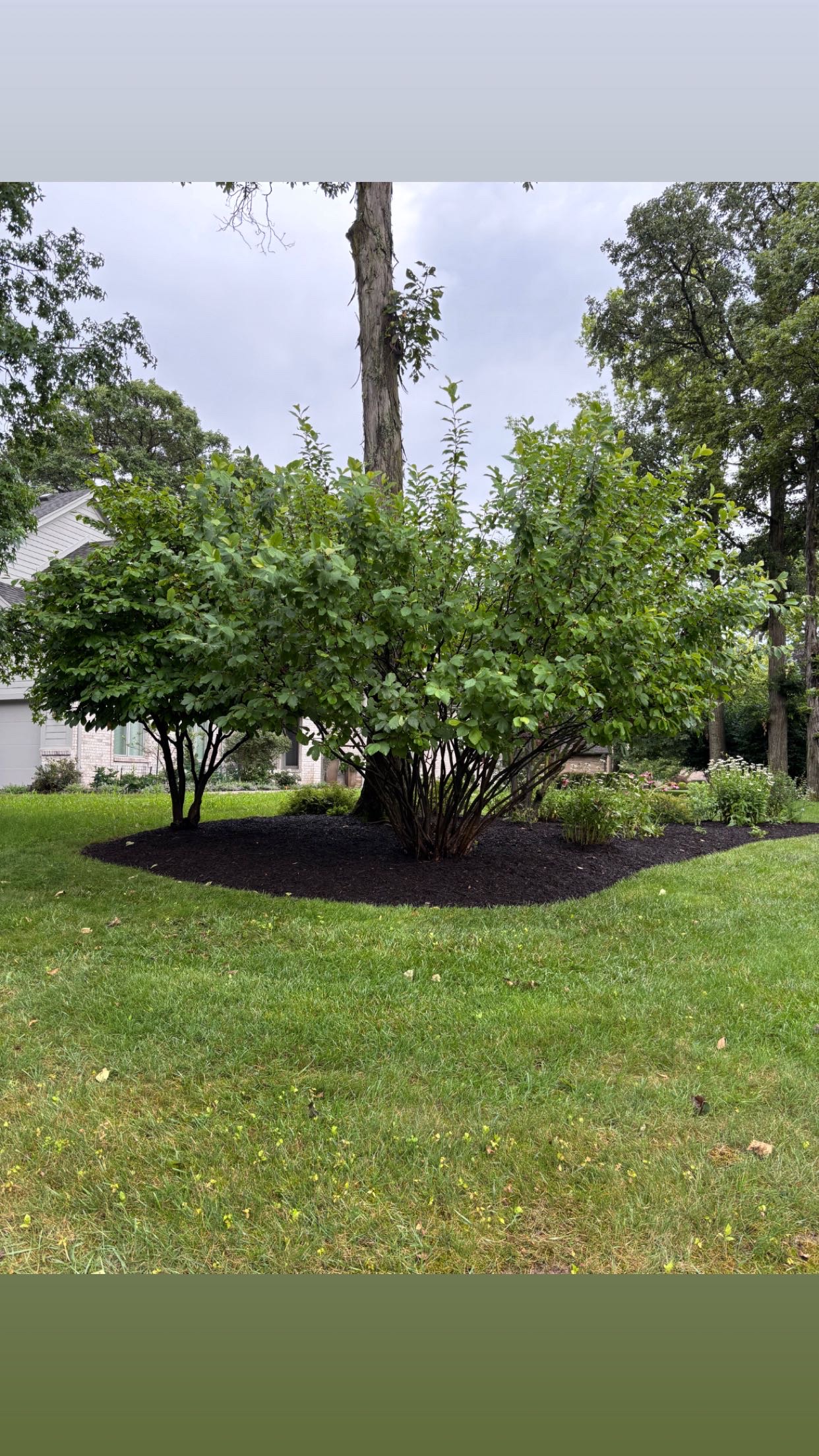 Twin Edge Landscaping project in Northwest Ohio — photo 2
