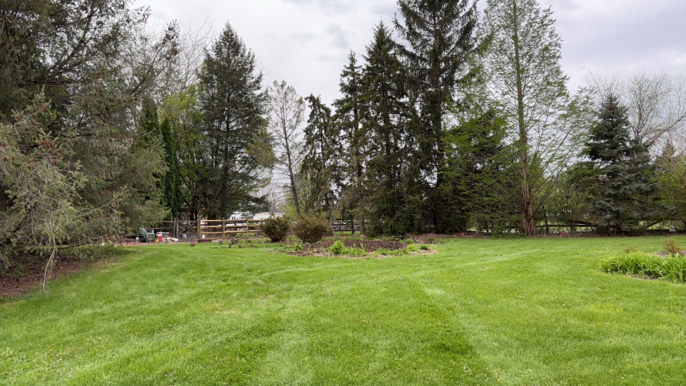 Yard after Twin Edge Landscaping cleanup