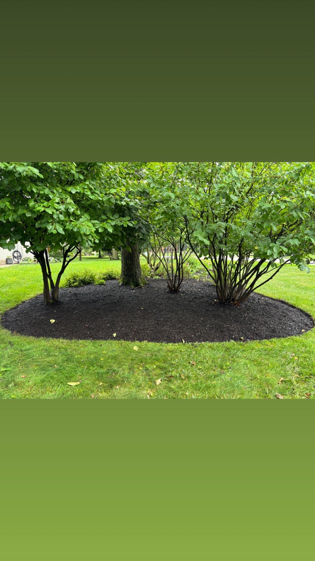 Bed & Yard Cleanups in Perrysburg, Toledo and Northwest Ohio